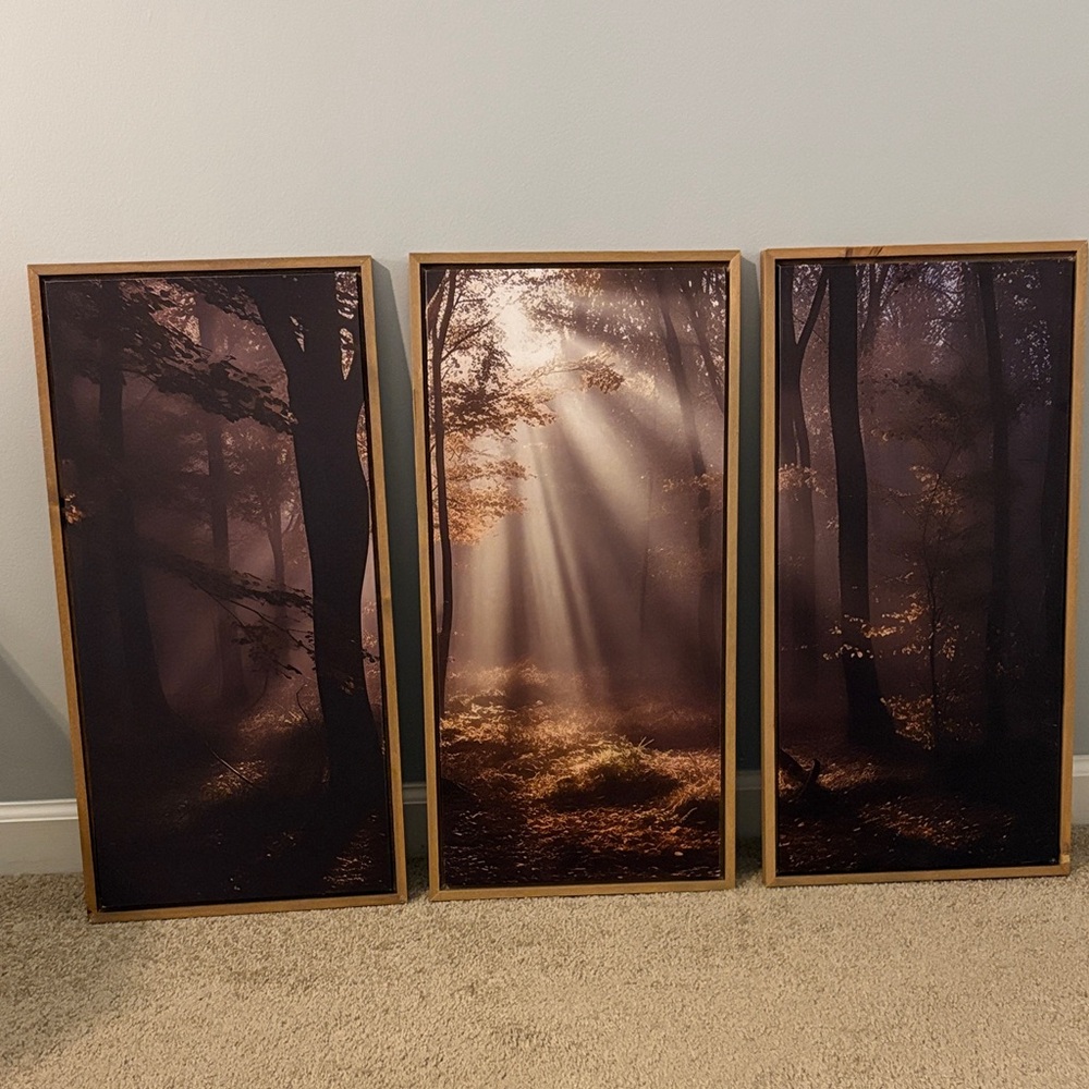 Set of 3 Forest Scene Wall Art